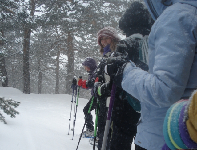  Snowshoes for groups 